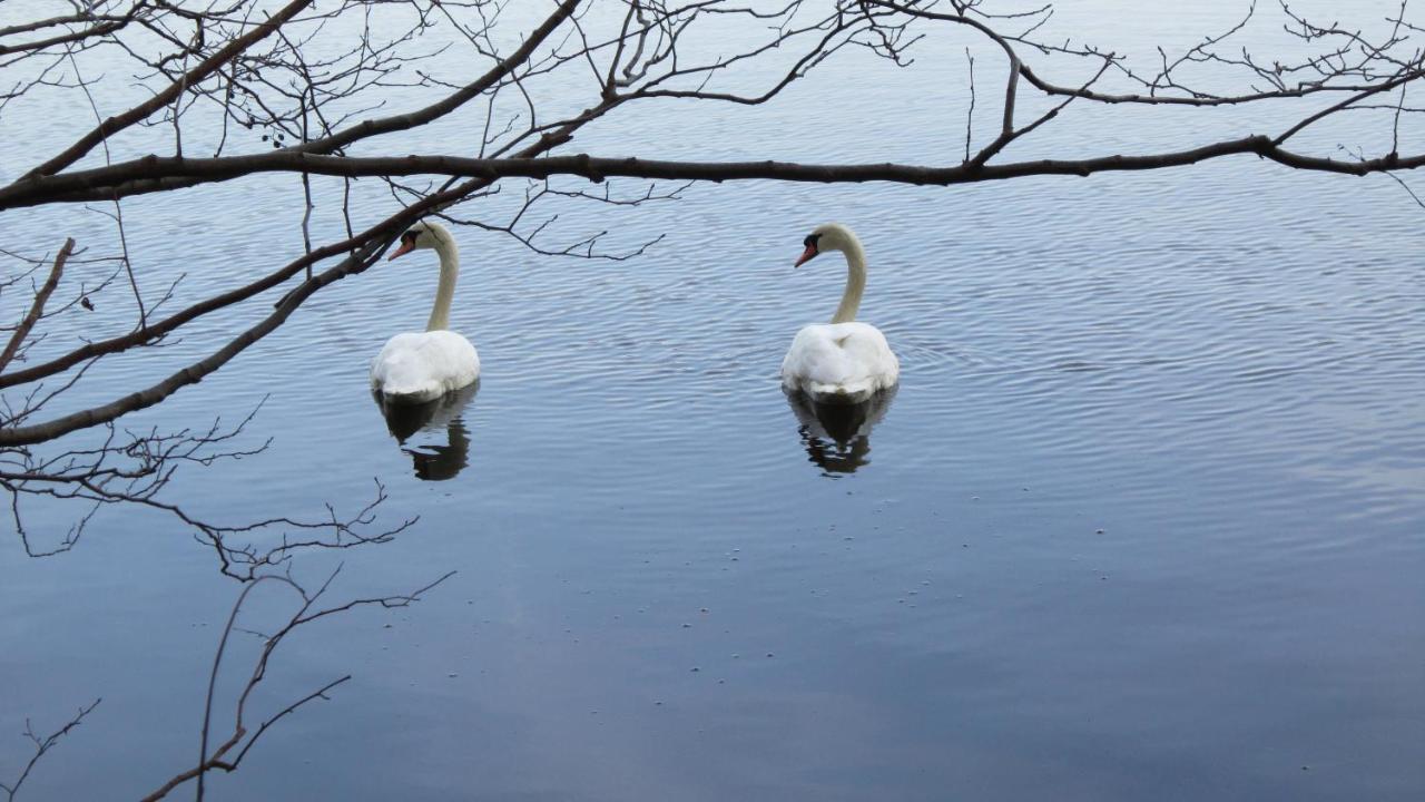 Fewo-Filter-Moelln Buitenkant foto